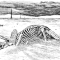 Extinct