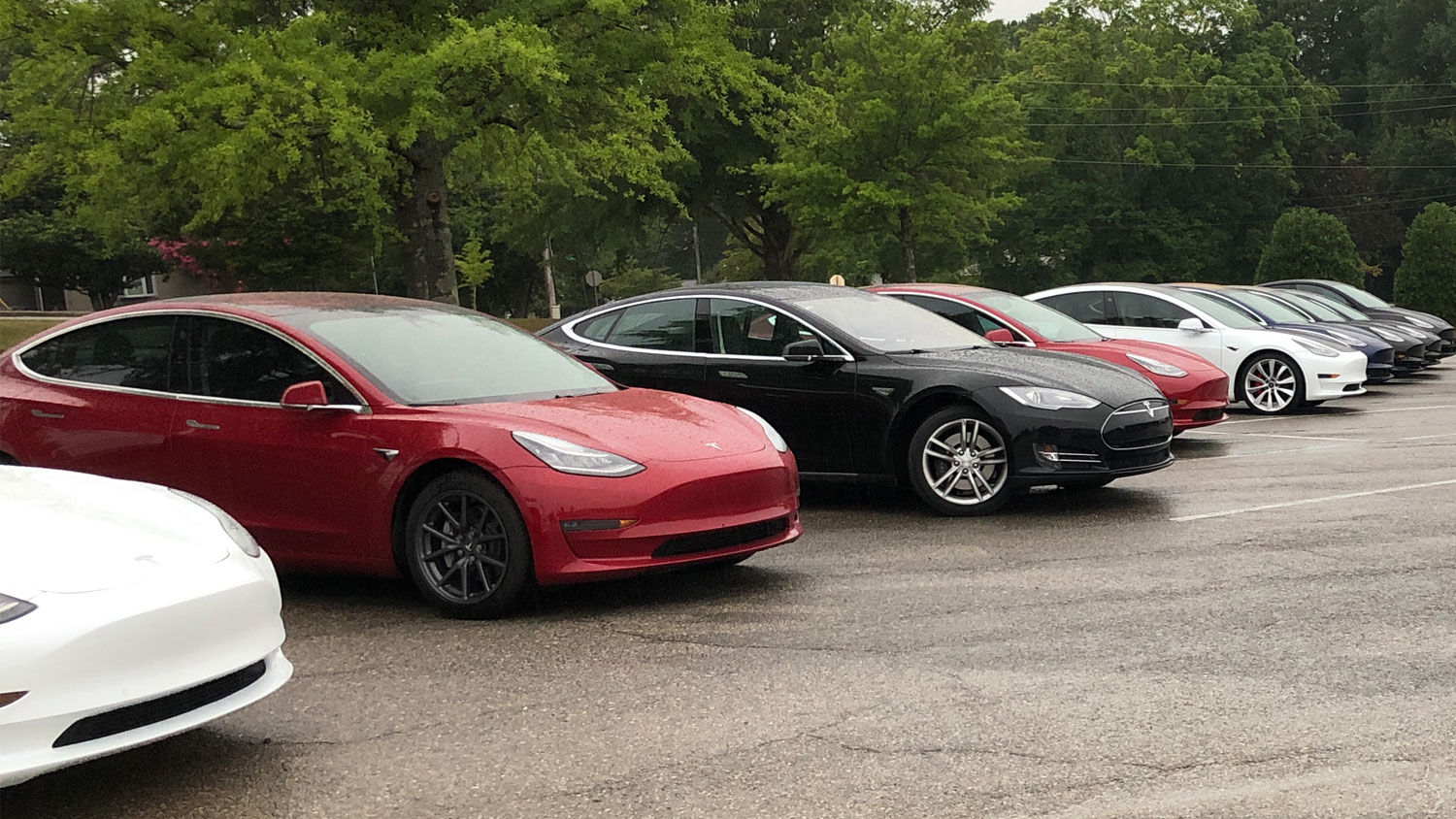 East Tennessee Tesla Owners Line Up For Photo Shoot Jacklail Com East Tennessee Tesla Owners Line Up For Photo Shoot Jacklail Com